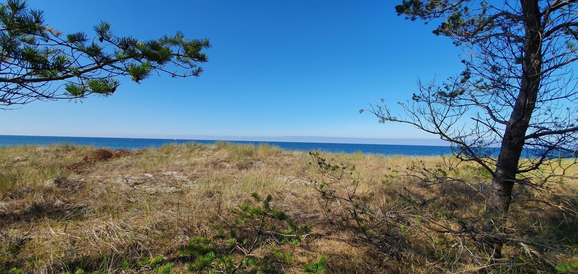 Domki Mile Chwile Lubiatowo  Bagian luar foto